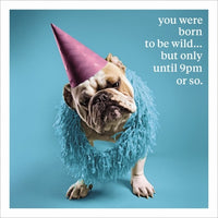 Wild Until 9pm Card 16cm