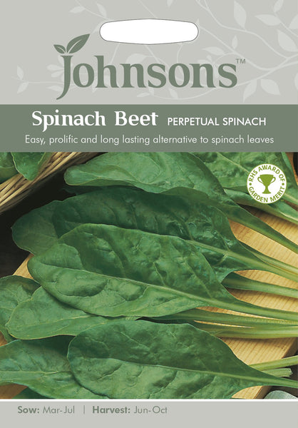 SPINACH BEET Perpetual Spinach
