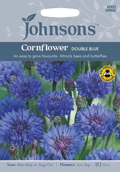 CORNFLOWER Double Blue