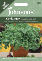 CORIANDER Cilantro for Leaf