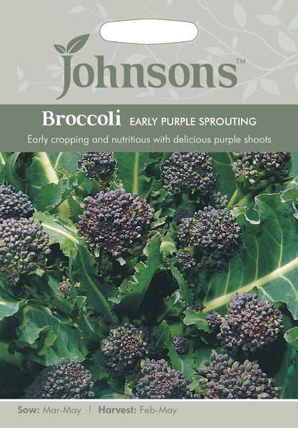 BROCCOLI Early Purple Sprouting