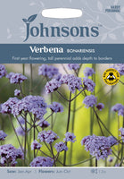 VERBENA bonariensis