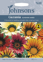 GAZANIA Sunshine Mixed