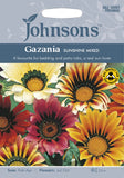 GAZANIA Sunshine Mixed