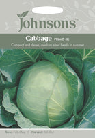 CABBAGE Primo (II)