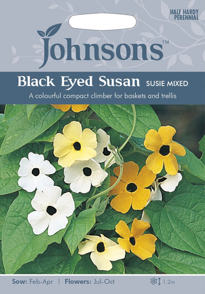 BLACK EYED SUSAN Susie Mixed