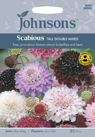 SCABIOUS Tall Double Mixed