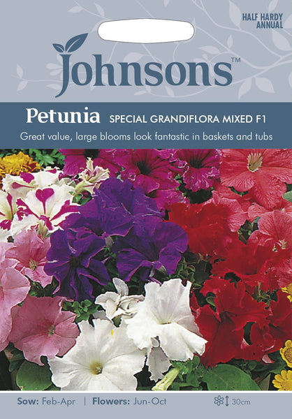 PETUNIA Special Grandiflora Mixed F1