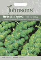 BRUSSELS SPROUT Evesham Special