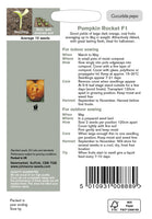 PUMPKIN Rocket F1
