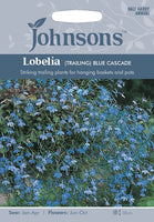 LOBELIA (Trailing) Blue Cascade