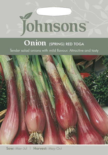 ONION (Spring) Red Toga