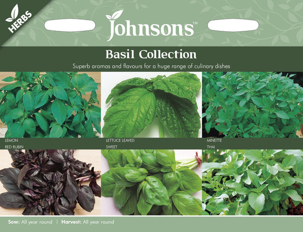 BASIL COLLECTION