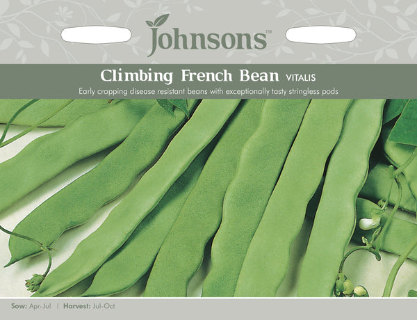 CLIMBING FRENCH BEAN Vitalis