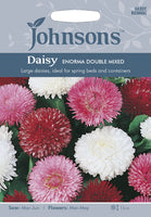 DAISY Enorma Double Mixed