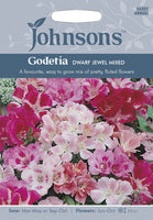 GODETIA Dwarf Jewel Mixed