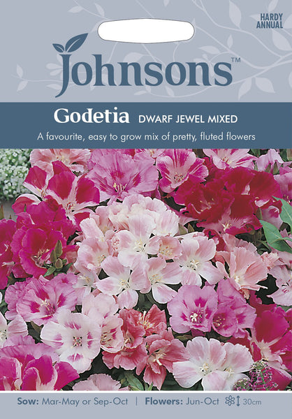 GODETIA Dwarf Jewel Mixed