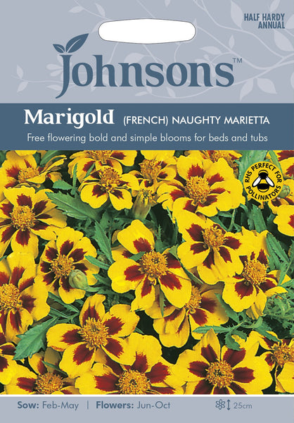 MARIGOLD (French) Naughty Marietta