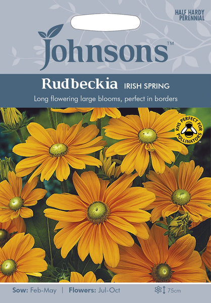 RUDBECKIA Irish Spring