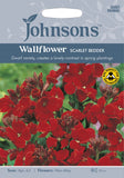 WALLFLOWER Scarlet Bedder