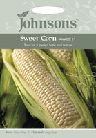 SWEET CORN Amaize F1