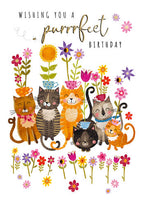 Cats & Flowers Birthday Card