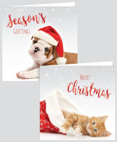 12 SQUARE CARDS PHOTO PETS
