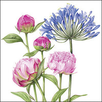 Greeting Card -Agapanthus and Peonies- Blank