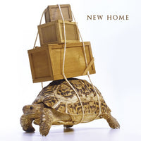 New Home - Tortoise Greeting Card