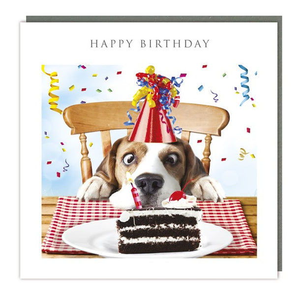 Light Hearted - Sniff the Cake - Birthday Card