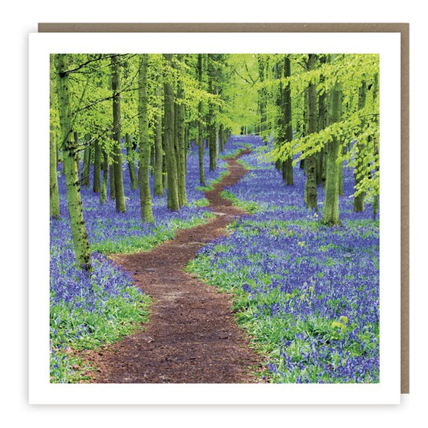 Botanical Collection - Bluebell Wood - Blank Card