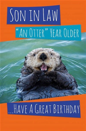 Son-in-Law Birthday Card