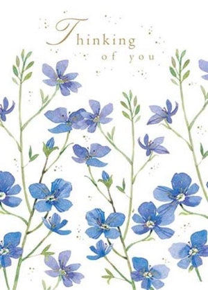THINKING OF YOU / FORGET ME NOTS GREETING CARD