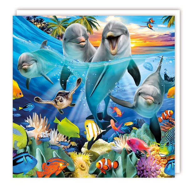 Blank - Dolphins Greeting Card