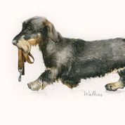 Walkies - Blank Card