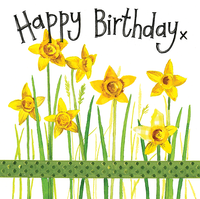 Daffoldils Birthday Card