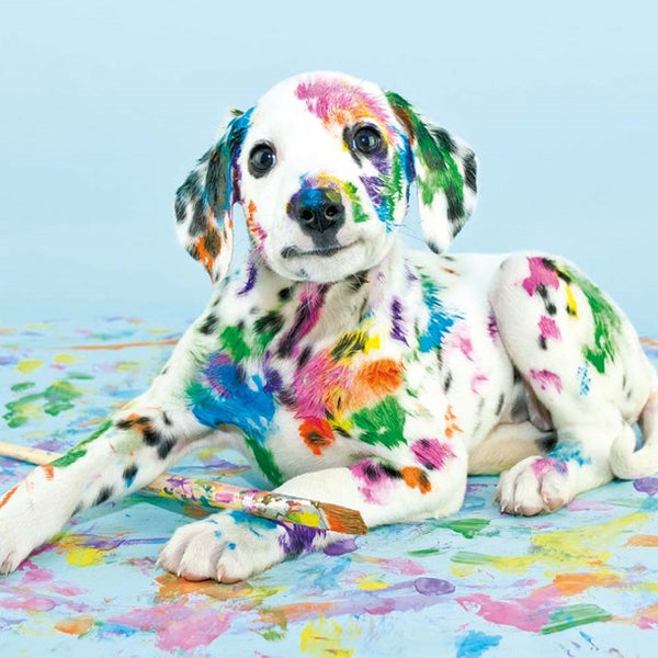 5 Mini Notelets - Dalmation with Paint Brush