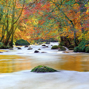 Autumn River- Blank Greeting Card