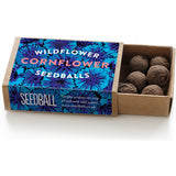 Cornflower Seedball Matchbox x 1