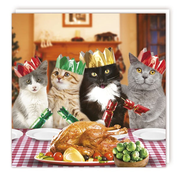Merry Christmas Card Cats