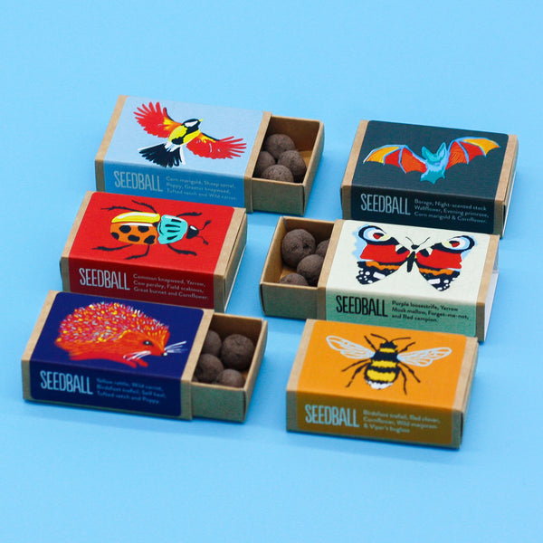 Butterfly Seedball Matchbox x 1