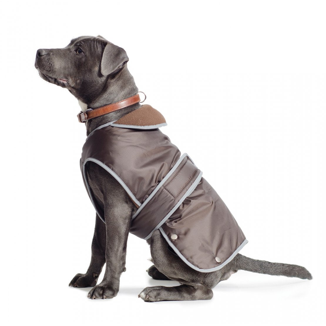 Muddy Paws Stormguard Fleece Lined Coat Chest Protector