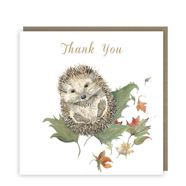 Thank You - Love Country - Mr Prickles - Pack of 5 Greeting Cards