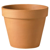 Verona Standard Terracotta Pot D23 x W23 x H21