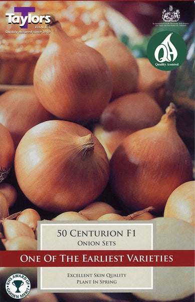 Centurion White Onion Sets