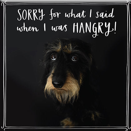 Sorry for what I said when I was Hangry Fridge Magnet
