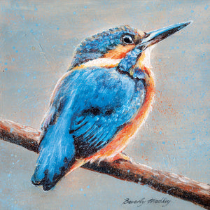 Greeting Card -Kingfisher- Blank