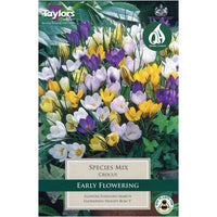 15 CROCUS SPECIES MIX 5-7