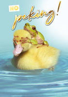 Birthday Greeting Card - Duckling & Frog