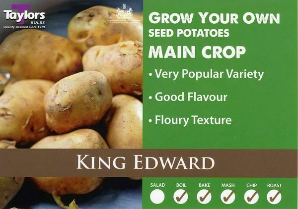 2kg King Edward Seed Potatoes - Main Crop